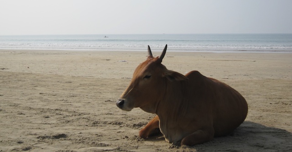 Confirmation bias, Oh confirmation bias!